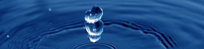 15684_ho58_3882.png